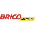 Logo_Franchise_Bricomarche.jpg